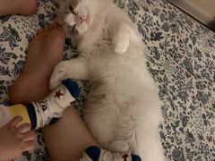 -美联众合24小时·皮肤科·外科·全科诊疗中心(华苑分院)