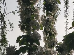 -元大都城垣遗址公园