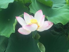 -古田会议纪念馆