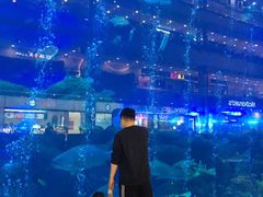 -成都浩海立方海洋公园