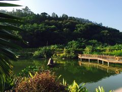 -龙山酒店温泉