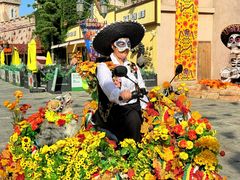 -大连海昌发现王国主题公园