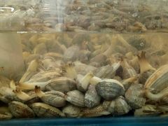 -韩家墅海吉星农产品批发市场