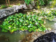 -竹泉村旅游度假区