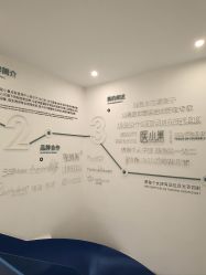 -杭州医巢医疗美容