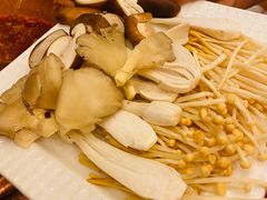 -老码头火锅(玉林店)