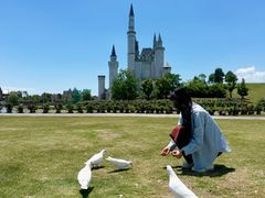 -成飞公园