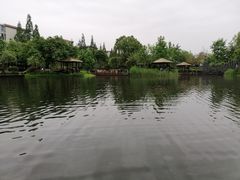 -成飞公园
