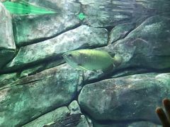 -常州海昌海洋探索馆