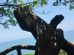 -放鸡岛生态旅游国际度假区