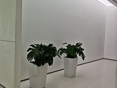 -极简口腔(总院)