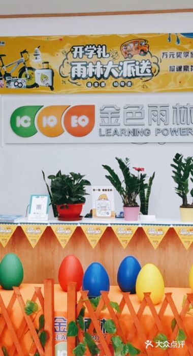金色雨林学习力培优(专注力提升)图片