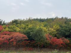 -南翠屏公园