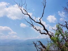 -南诏风情岛
