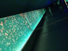 -多彩贵州城极地海洋世界