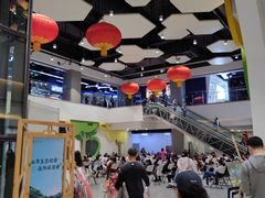 -中国宋庆龄青少年科技文化交流中心