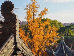 -上海东林寺(金山区)