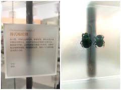 -中国农业大学(西校区)