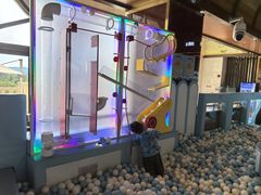 -童趣廊·儿童波波池·海洋球(长隆横琴湾酒店)