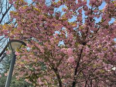 -江苏师范大学(泉山校区)
