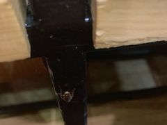 -四季合味椰子鸡(南山大冲店)