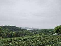-西湖风景区十里琅珰-五云山