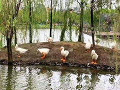 -杭州师范大学(下沙校区)