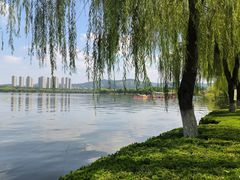 -济南国际园博园