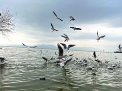 -捞渔河湿地公园