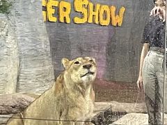 -清迈夜间动物园