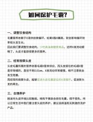 -Bollins波林丝•专研护发中心