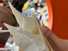 -野人先生现做冰淇淋(北京王府井东方新天地店)