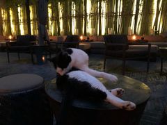 -上海璞麗酒店