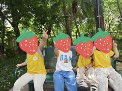 -金点蒙氏国际教育(悠然校区)