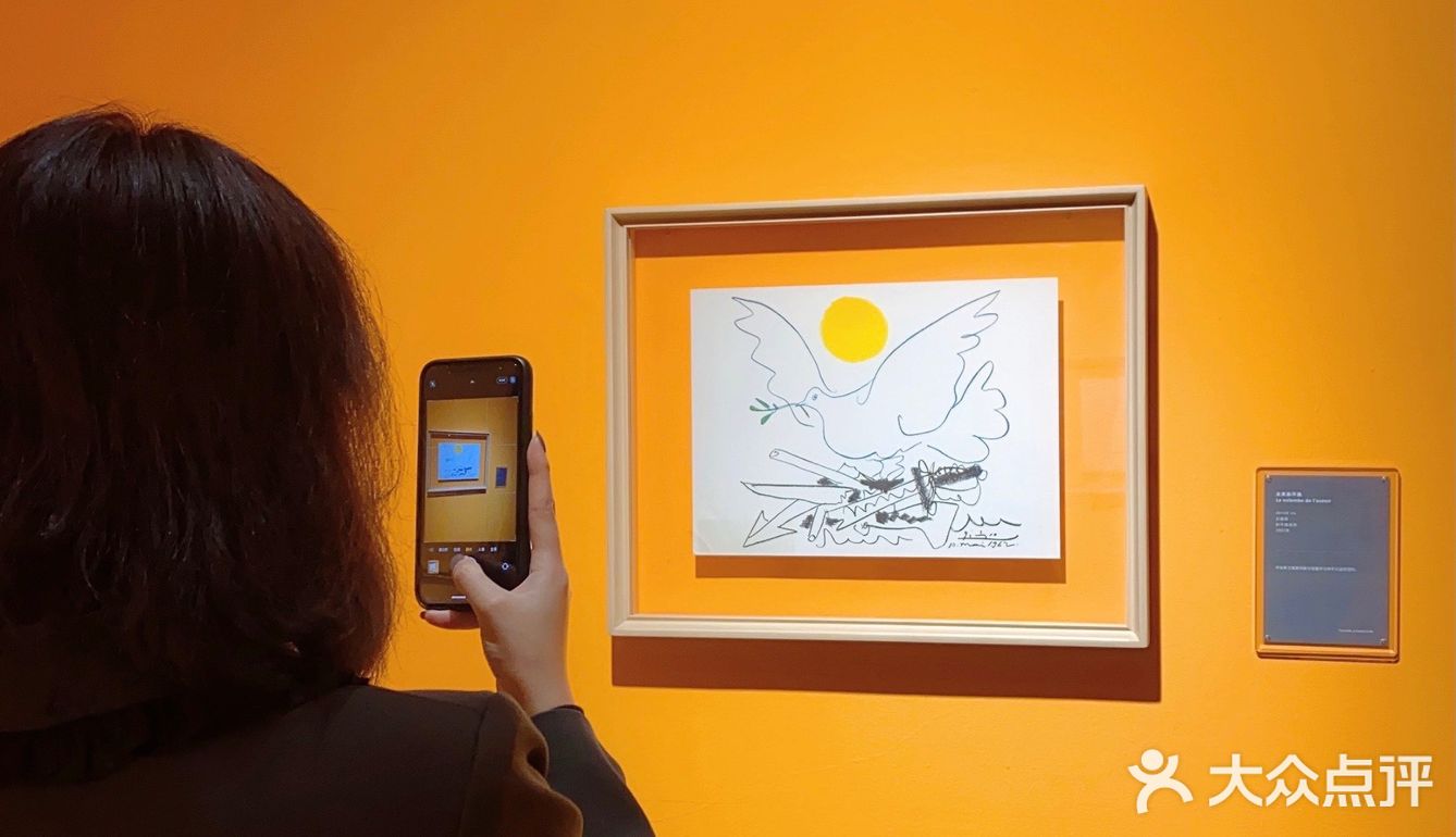 毕加索版画艺术展，大部分在国内首次展出