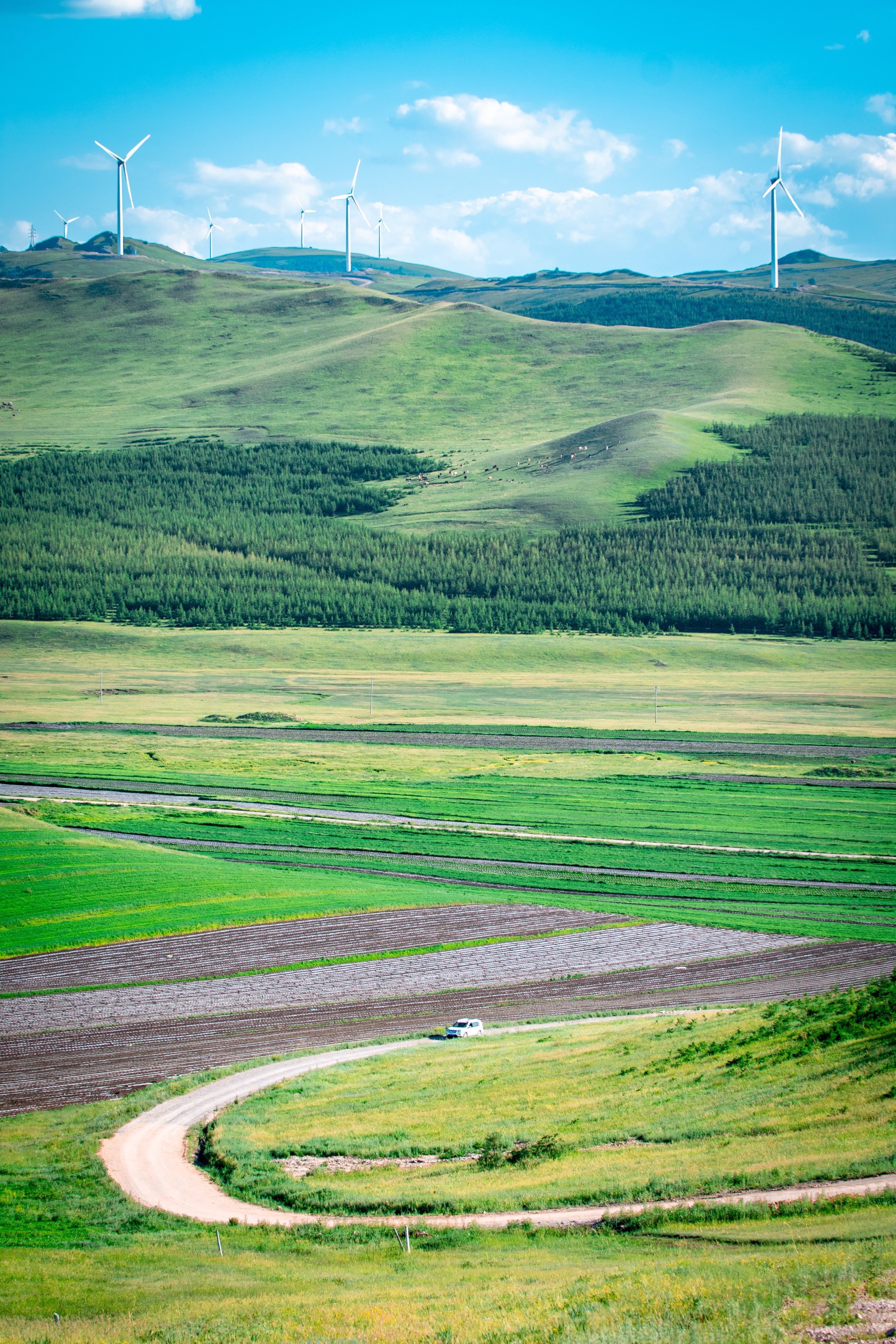 自驾丰宁坝上「百里天路」,闯入22℃的云端草原