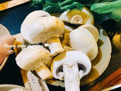 -肥龙火锅(南坪店)