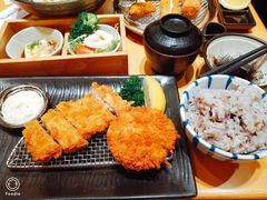 -胜博殿日式炸猪排(西红门店)