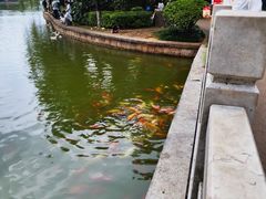 -月牙潭公园