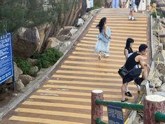-广东惠东海龟国家级自然保护区