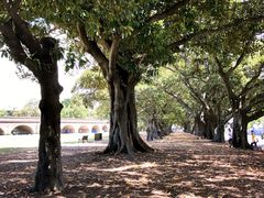 -悉尼歌剧院