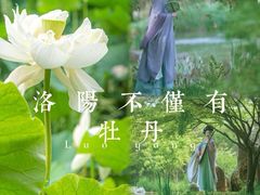 -洛阳市隋唐城遗址植物园