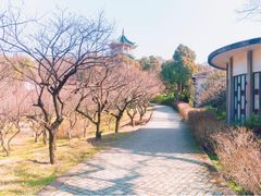 -无锡梅园公园