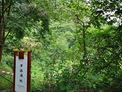 -羚羊峡古栈道森林公园
