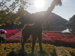 -广州市石门国家森林公园