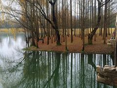 -晓风书屋(浙大紫金港店)