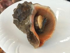 -老青岛海鲜烧烤大排档