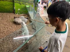 -正佳雨林生态植物园