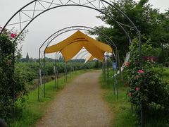 -金谷域澳洲庄园