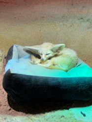 -酷嗒动物文化乐园(cutezoo西溪乐天城店)